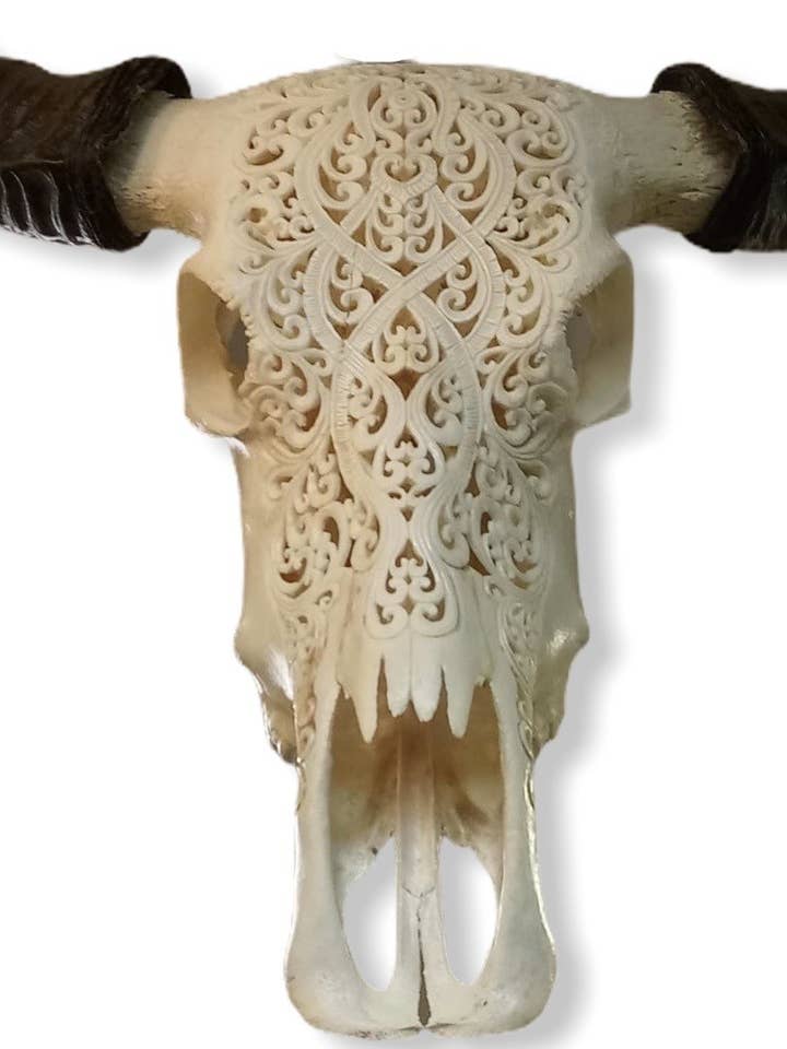 Crânio Grande de Búfalo com Chifres Destacáveis e Escultura Floral por atacado de Charlie Leather