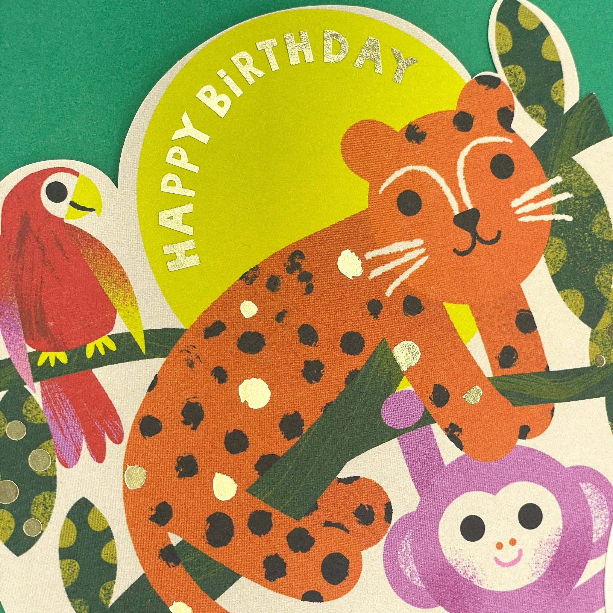 Raspberry Blossom – wholesale Birthday card – Happy Birthday - Have a wild day (FAN20)1