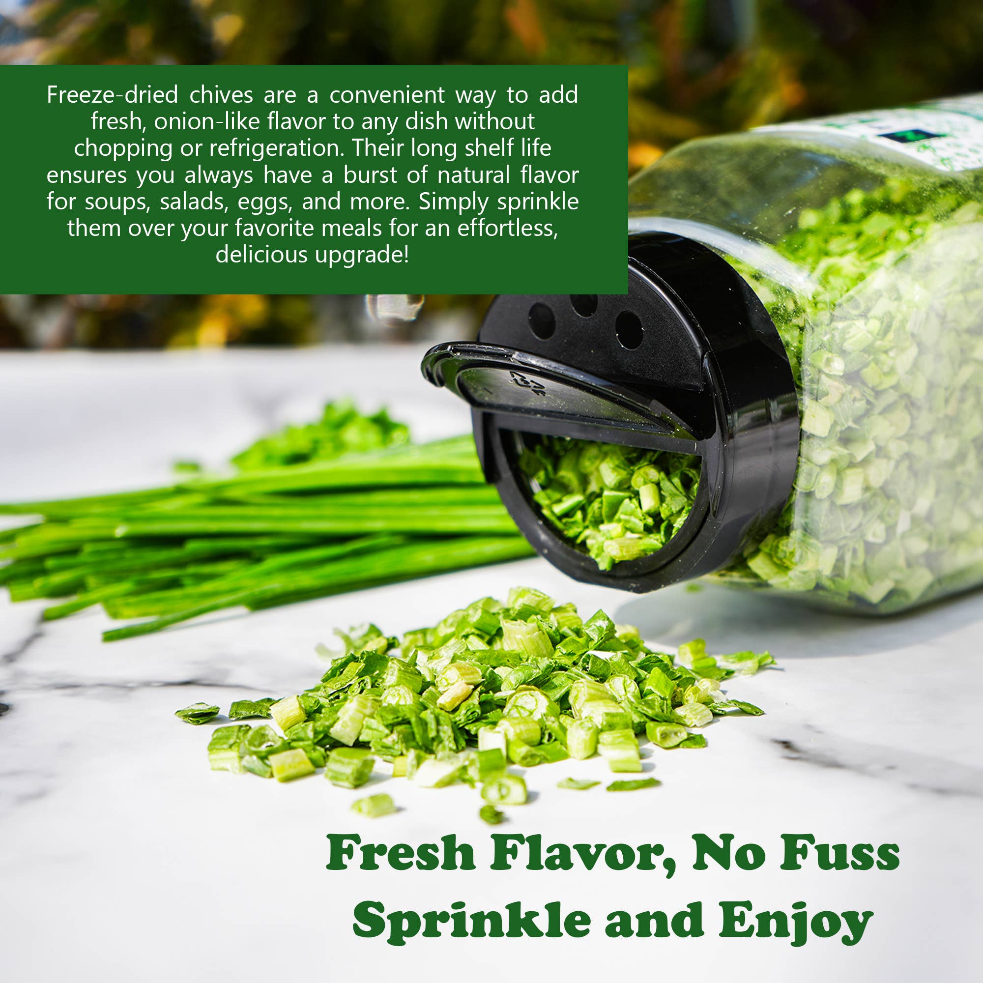 Natural Plus Green - Wholesale Dried/dehydrated vegetables - NPG Freeze-Dried Chives 2 Oz2