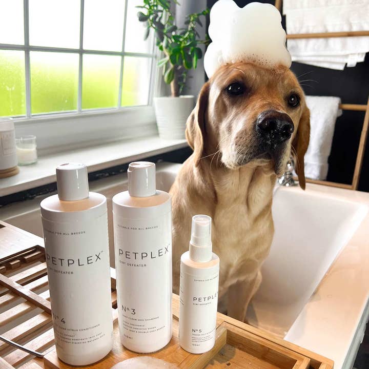 PetPlex No. 3 Dirt Defeater Shampoo 350ml and other Purchase wholesale organic pet shampoo. Free returns & net 60 terms on Faire trending on Faire.