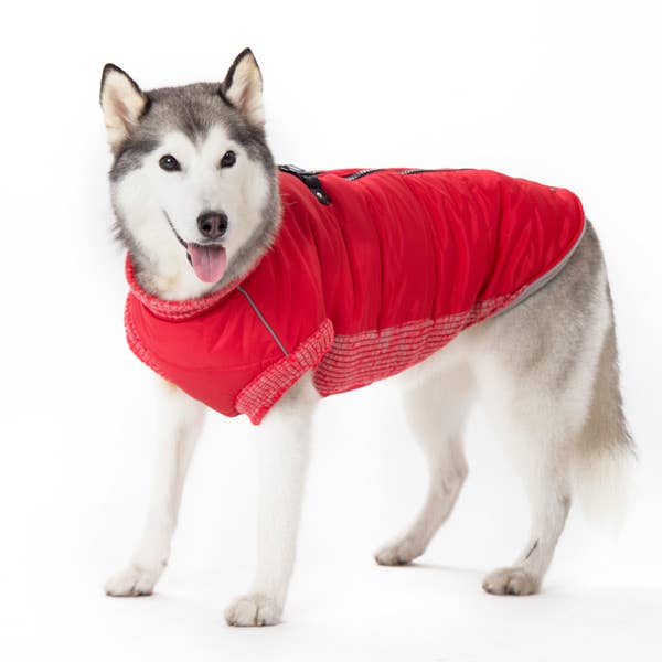 Dogo Pet - Wholesale Pet Coat - Dog - Runner Coat Original7