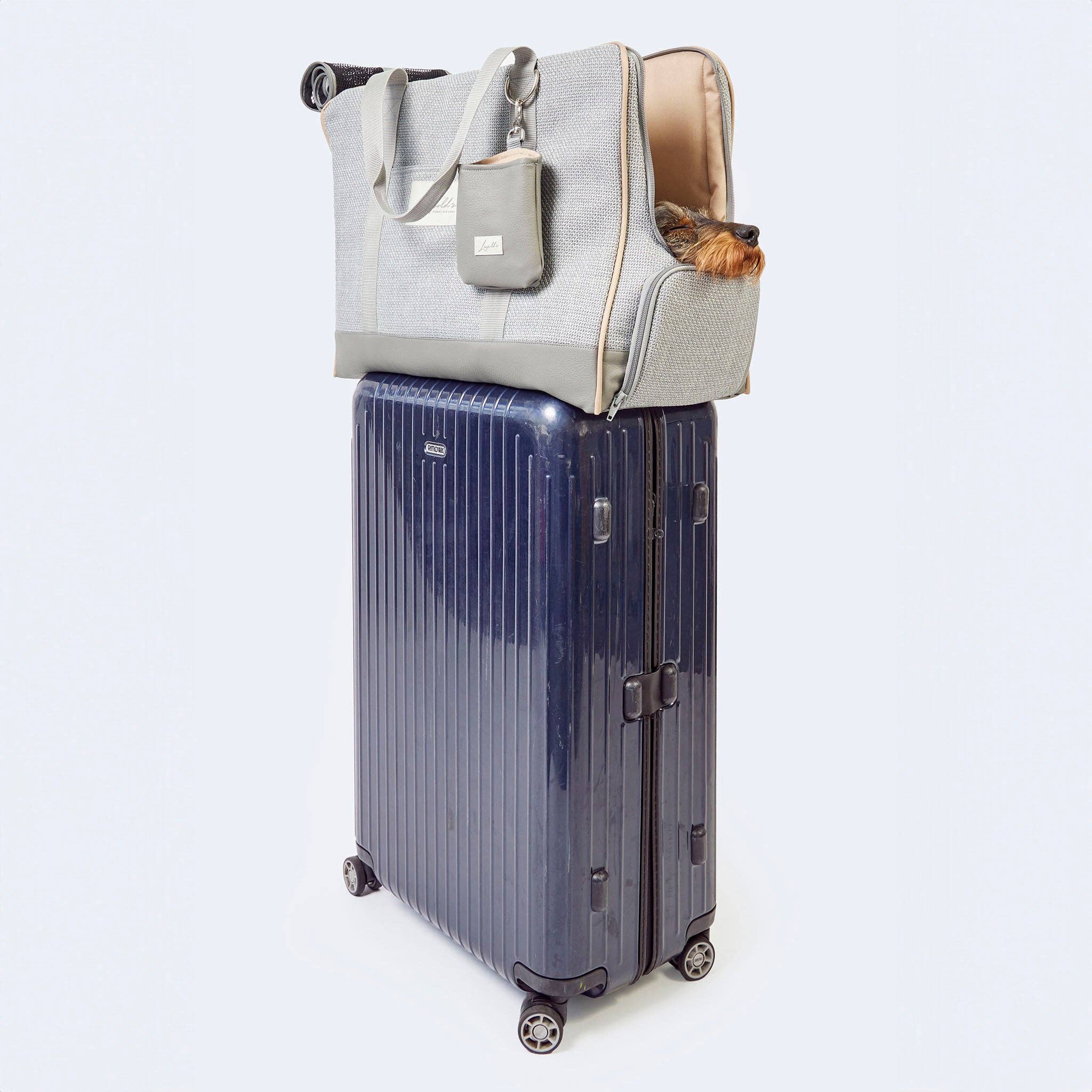 ​​Leopold's Finest for dogs – wholesale Transportbur – Hund – Flygväska för taxar och små hundar med ortopedisk madrass25