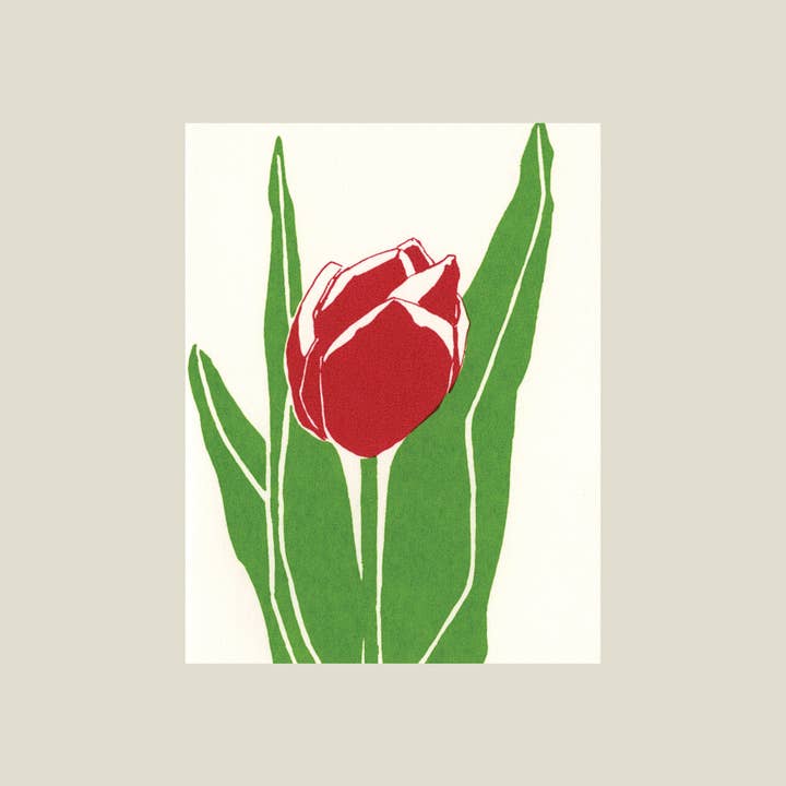 Tarjeta de tulipán para venta al por mayor de Kinaloon