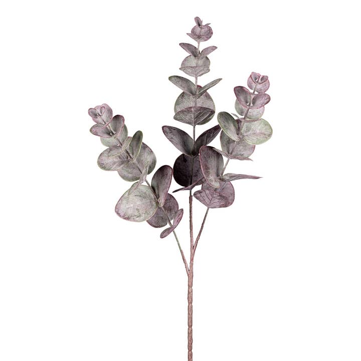 Branche d'eucalyptus en polyester, 6 pièces par sachet, 51 cm, couleur aubergine pour la vente par GASPER GmbH