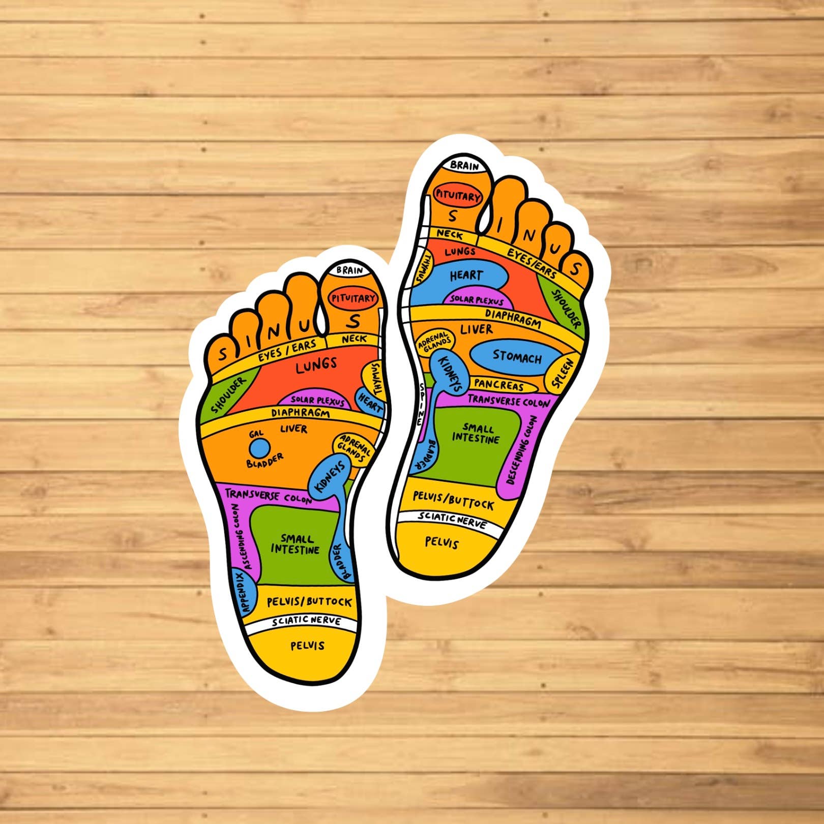 EnchantingSunshine - Wholesale Sticker - Reflexology Sticker1