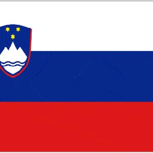 Worldwide Flags Ltd - Vente Drapeaux - Slovénie 5 pi x 3 pi