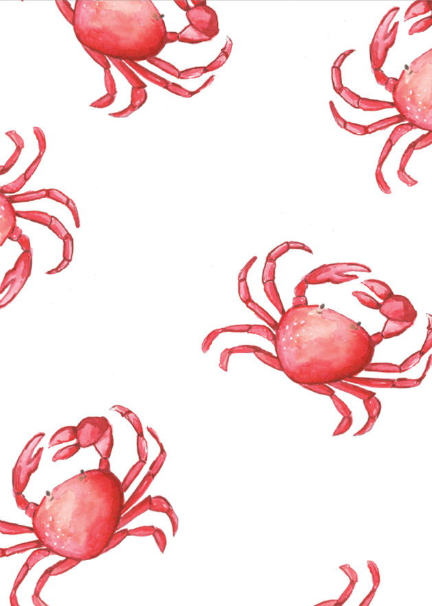 Jessica Frasz Studio - Wholesale Everyday Greeting Card - Red Crab Mini Card1