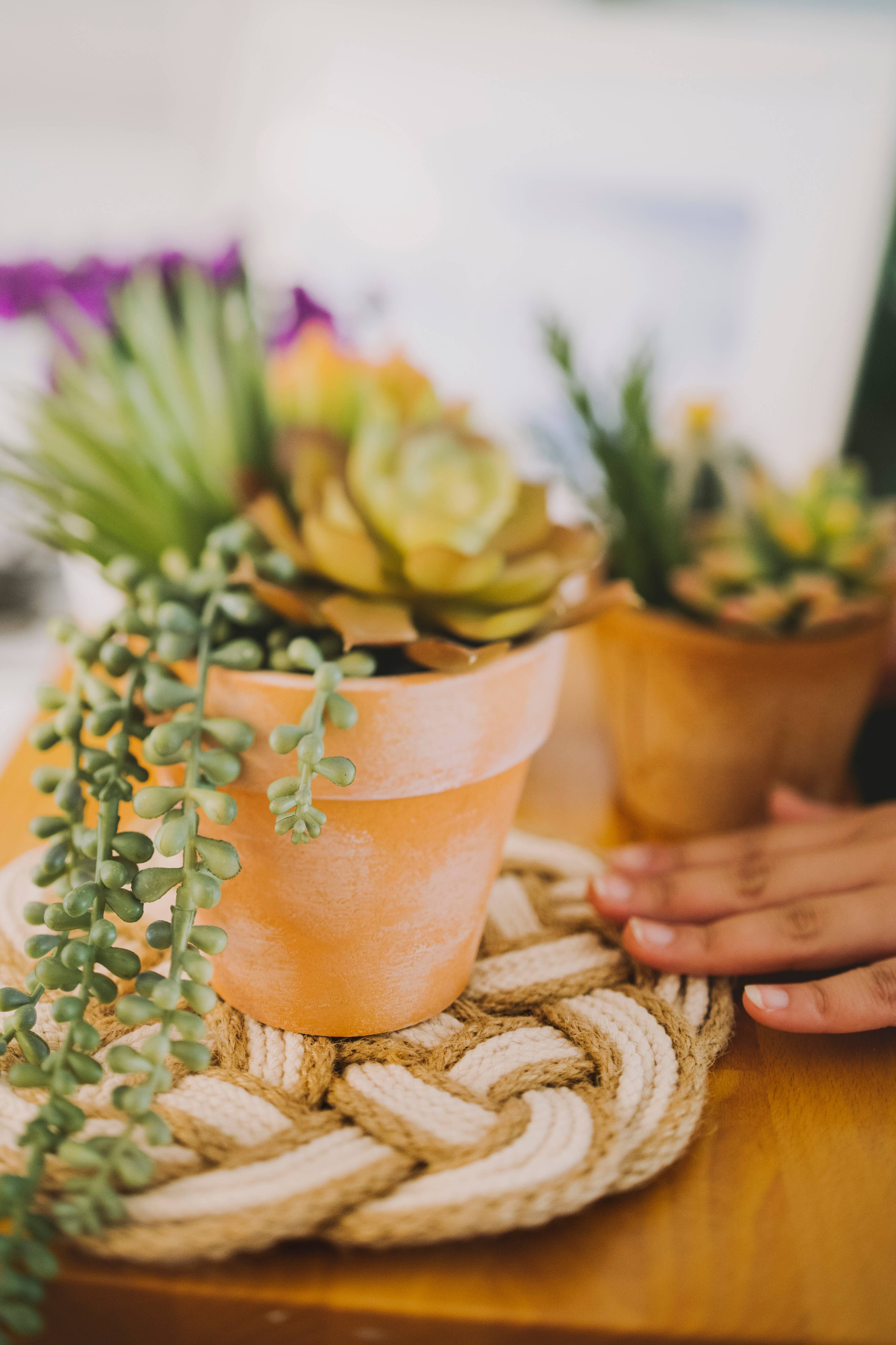 Freeleaf - Wholesale Trivet - Hope Trivet8