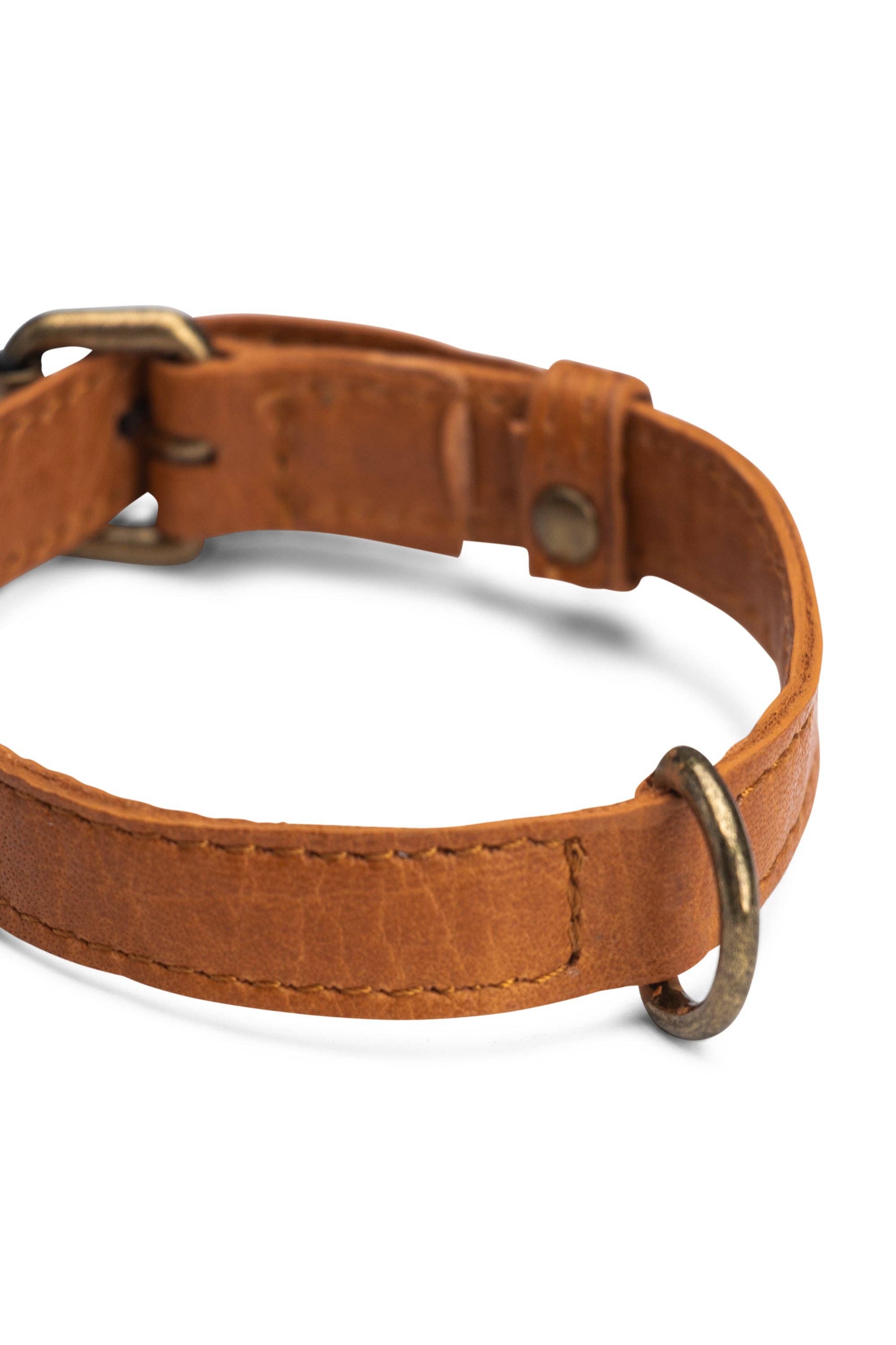 Muud - Wholesale Pet Collar - Dog - Cate Collar6