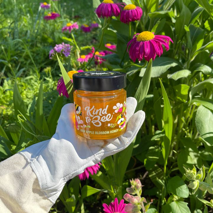 Kind to Bee - Wholesale Honey - Raw Apple Blossom Honey, Cruelty-Free, Monofloral, glass jar3