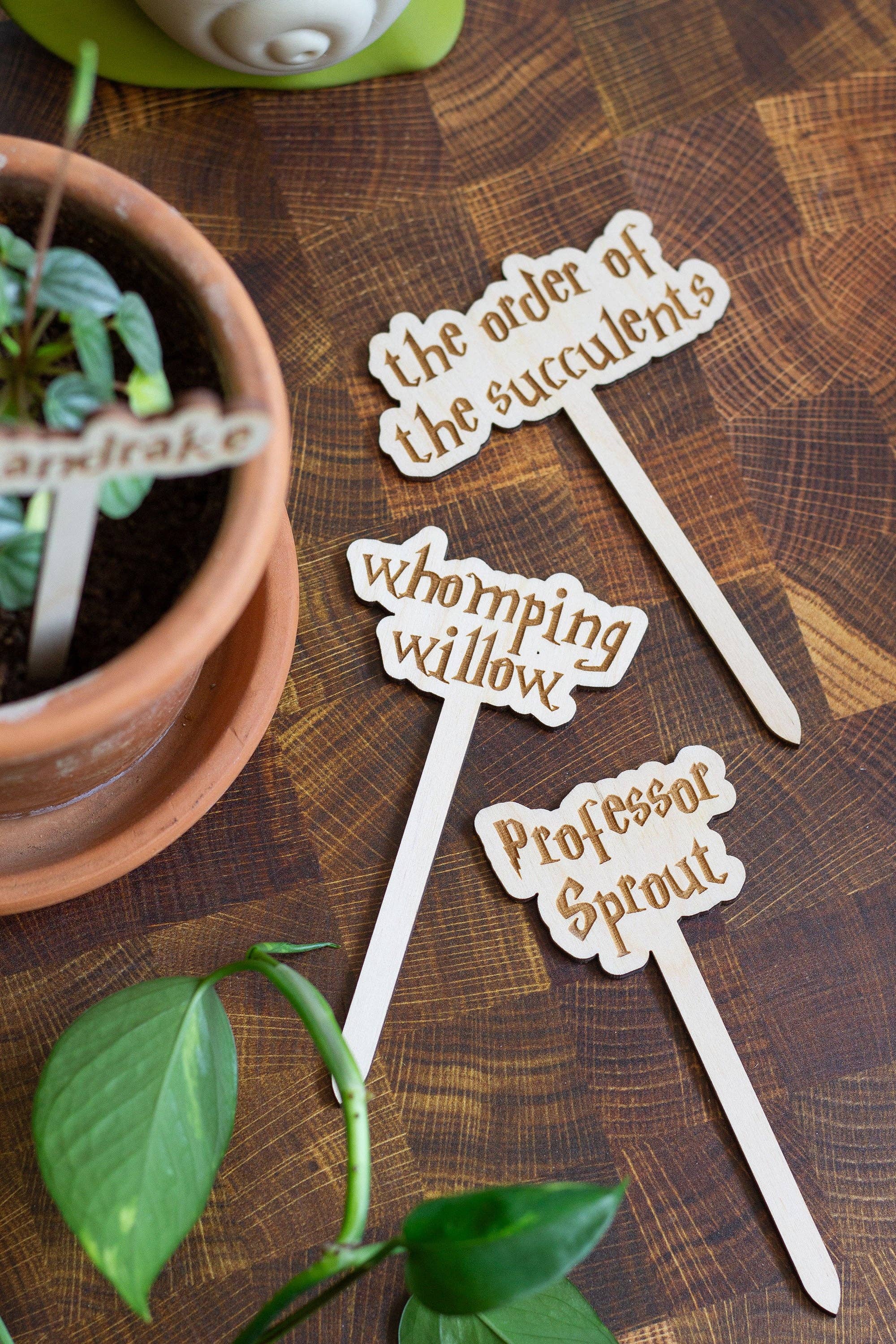 The Print Pantry - Wholesale Garden/Lawn Stake - Harry Potter Wooden Plant Markers4