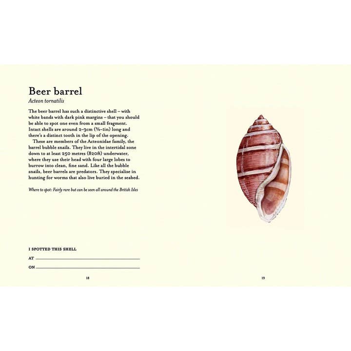 Independent Publishers Group - Wholesale Nature & Outdoors - Shell-spotter’s Guide2