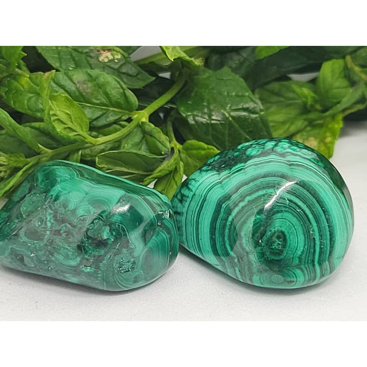 Malachit für den Großhandel von Crystal Cove