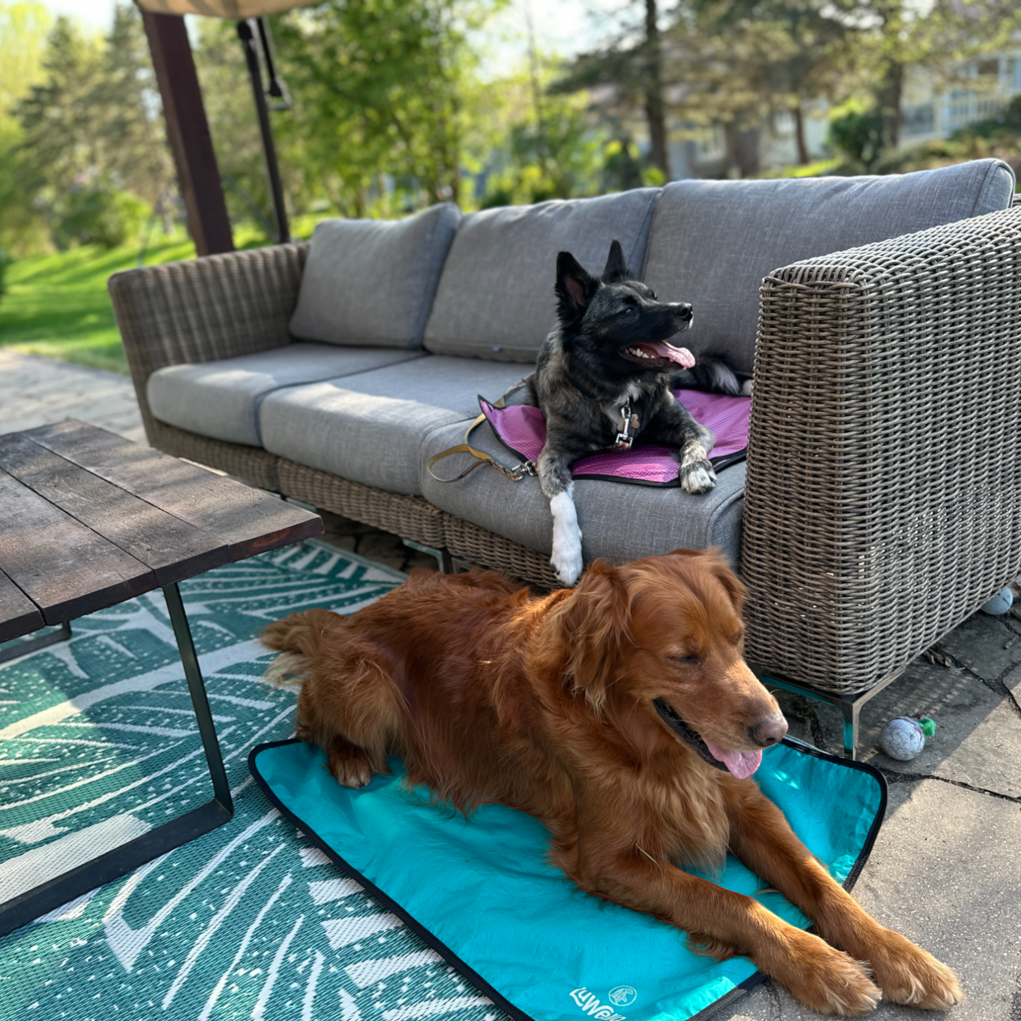 LUWELLO, LLC - Wholesale Pet Bed - Dog - Portable Dog Settle Mat16