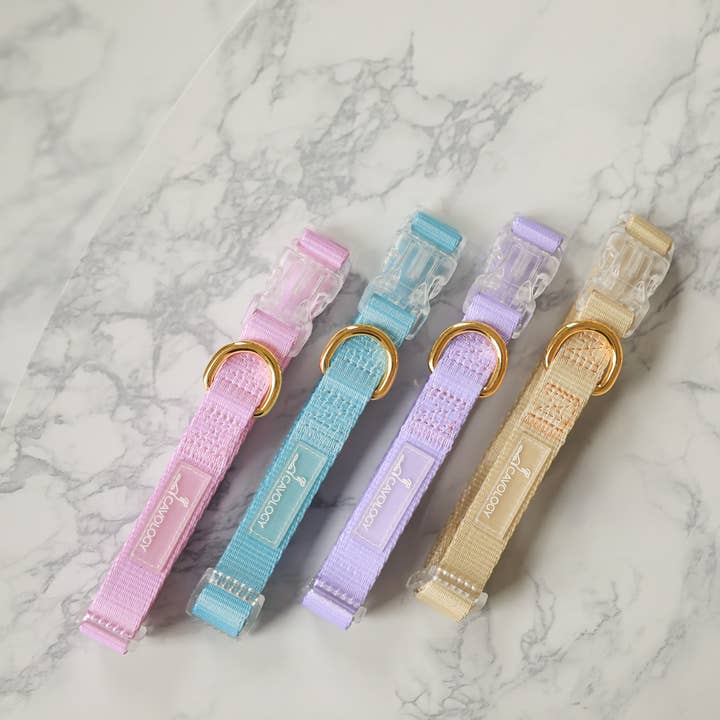 Cavology - Wholesale Pet Collar - Dog - DOG COLLAR EVERYDAY LIGHTWEIGHT VINYL MINIMAL9