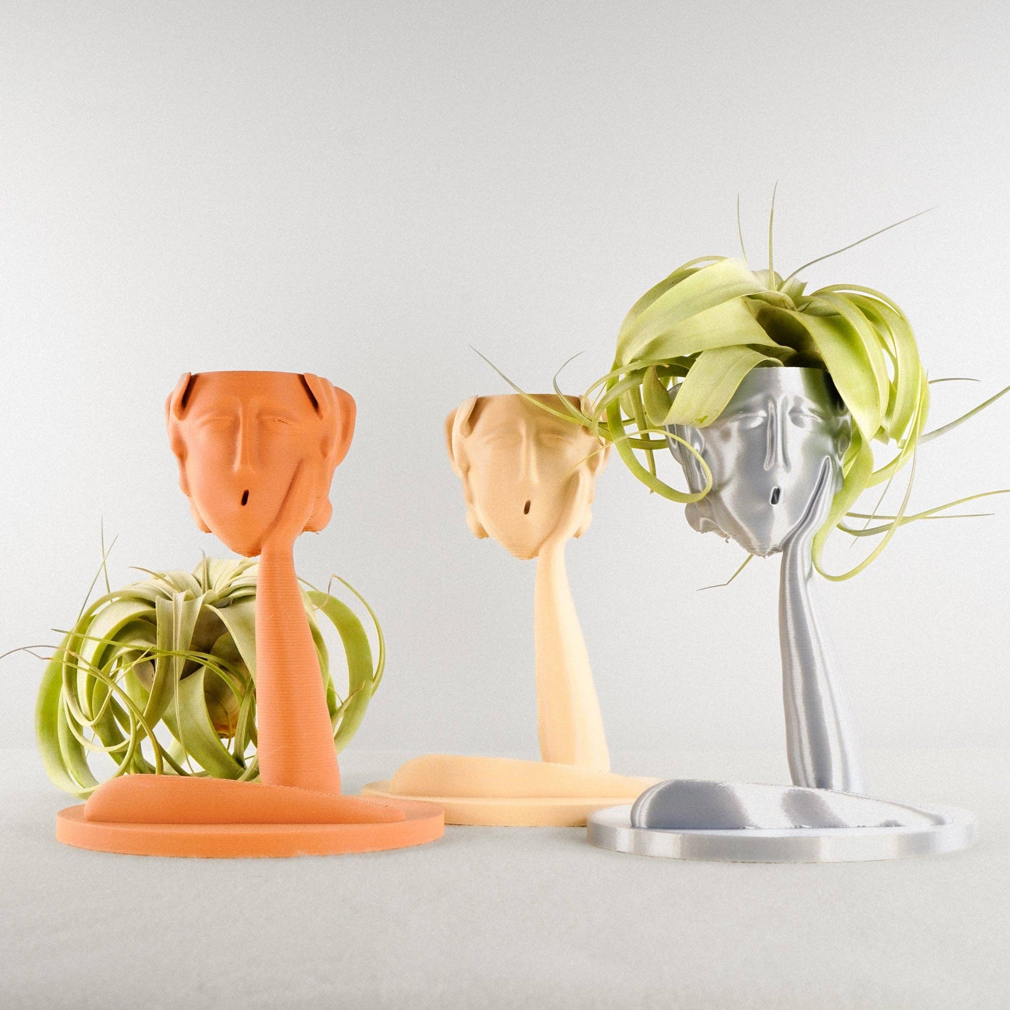 Rosebud Homegoods - Vente Pot - Jardinière Tête Méduse Air12