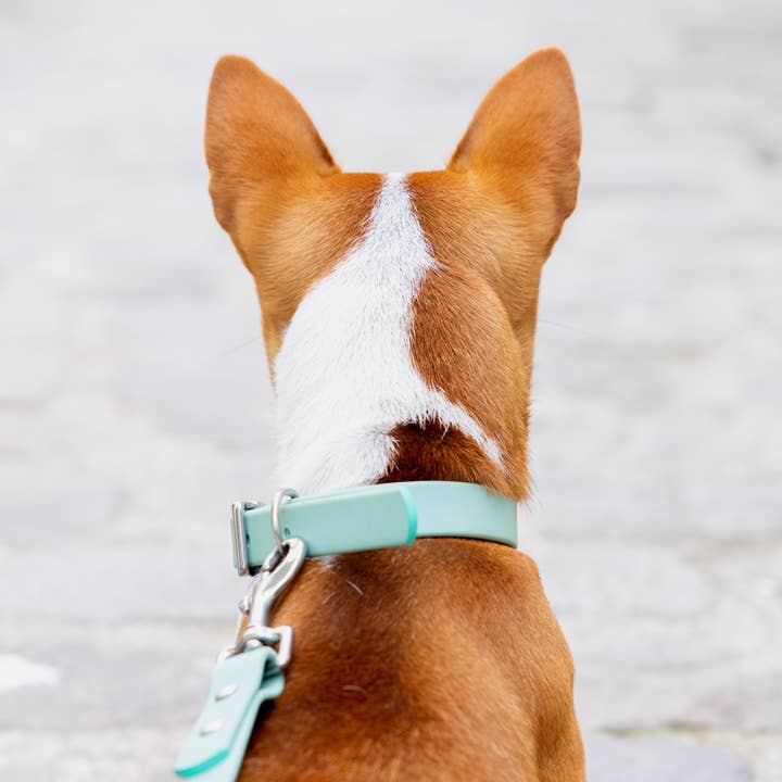 Ploouf Dogs - Wholesale Pet Leash - Dog - Lagoon green “soft touch” leash3