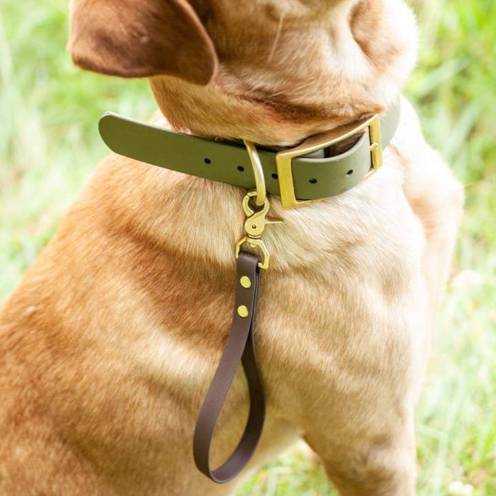 Onglet d'entraînement en Biothane imperméable pour la vente par Contigo Dogs