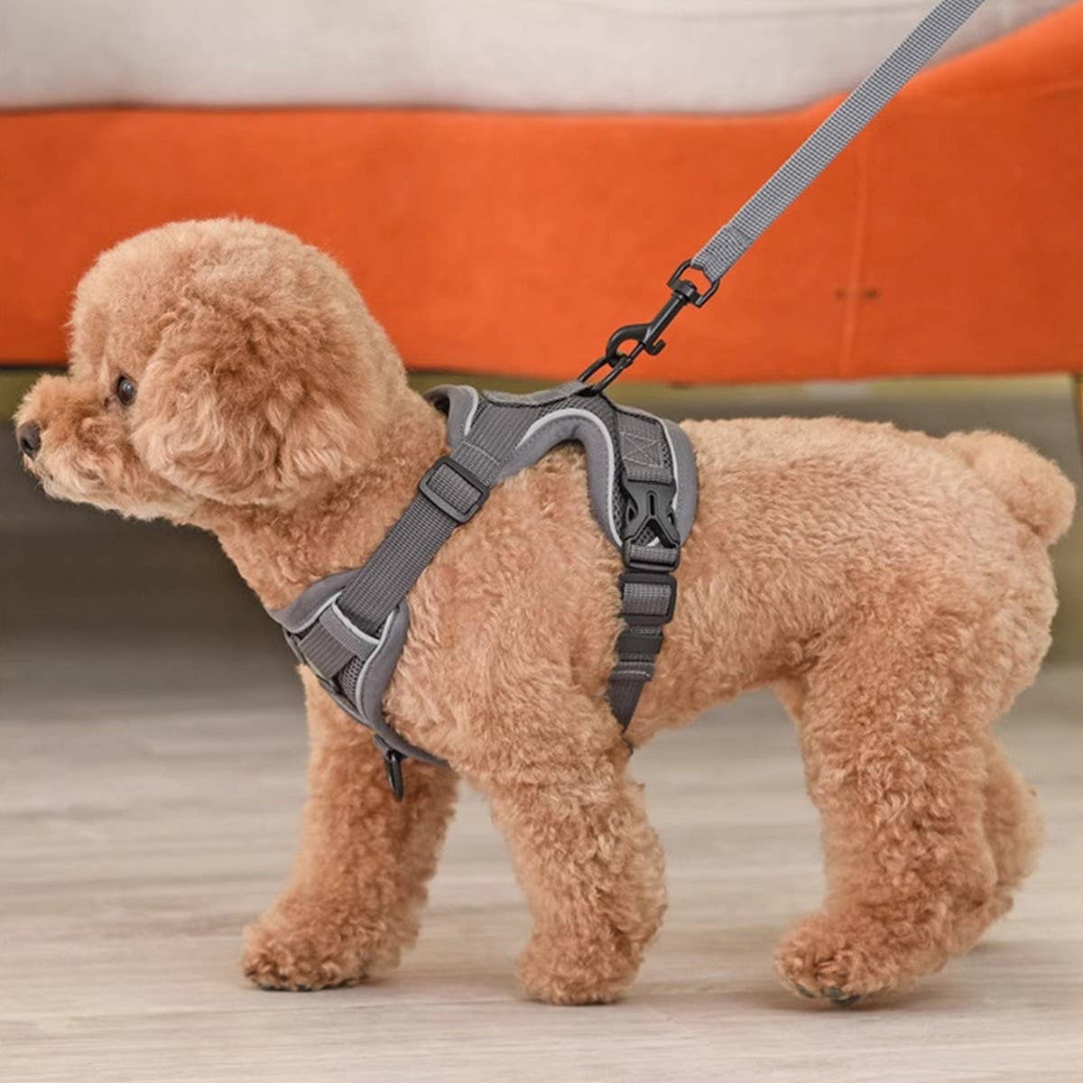 PAWPAWwholesale - Wholesale Pet Harness - Dog - Reflective Dog Harness with Leash – Escape-Proof_CWMM72674