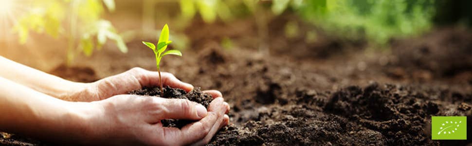 Stella Foods s.r.l. - Wholesale Oats - STELLA Organic Oat Bran 500g6