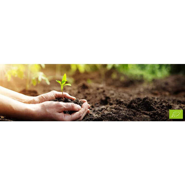 Stella Foods s.r.l. - Wholesale Oats - STELLA Organic Oat Bran 500g6