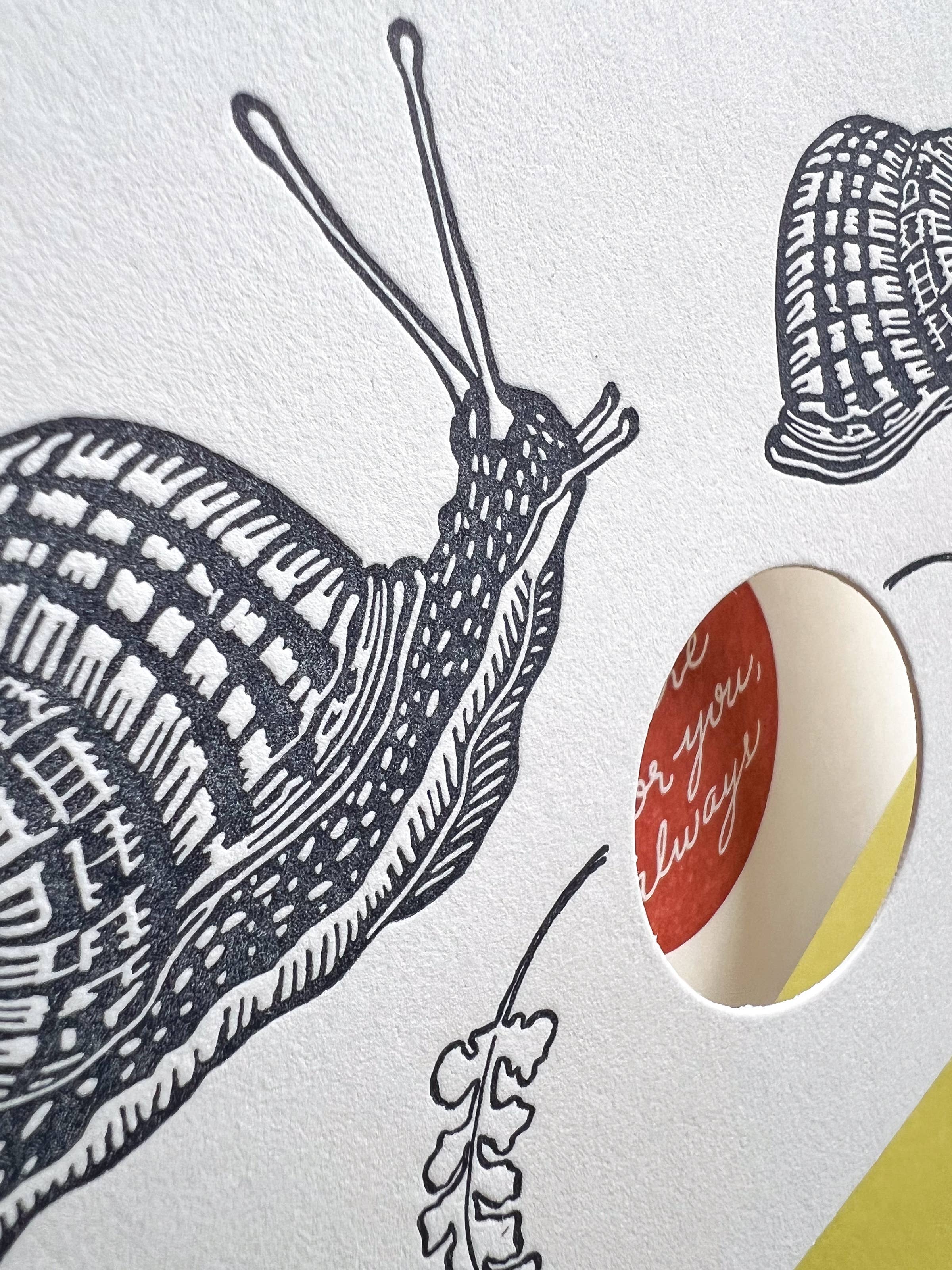 Blackbird Letterpress – wholesale Love card – here for you always snail card A24