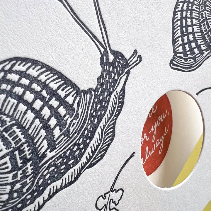 Blackbird Letterpress - Vendita all'ingrosso Biglietti d'amore - qui per te sempre in carta velina A24