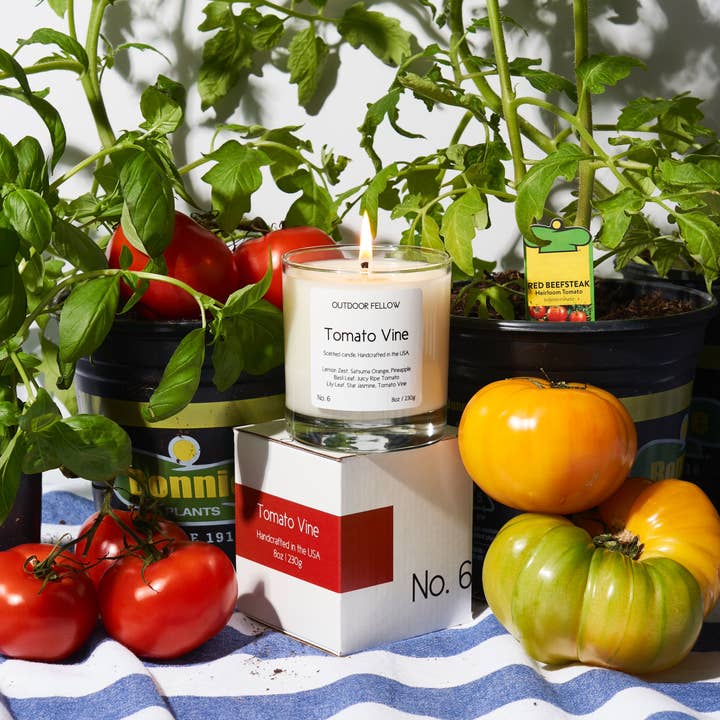 Outdoor Fellow - Wholesale Jar/Filled Candle - Tomato Vine Scented Candle