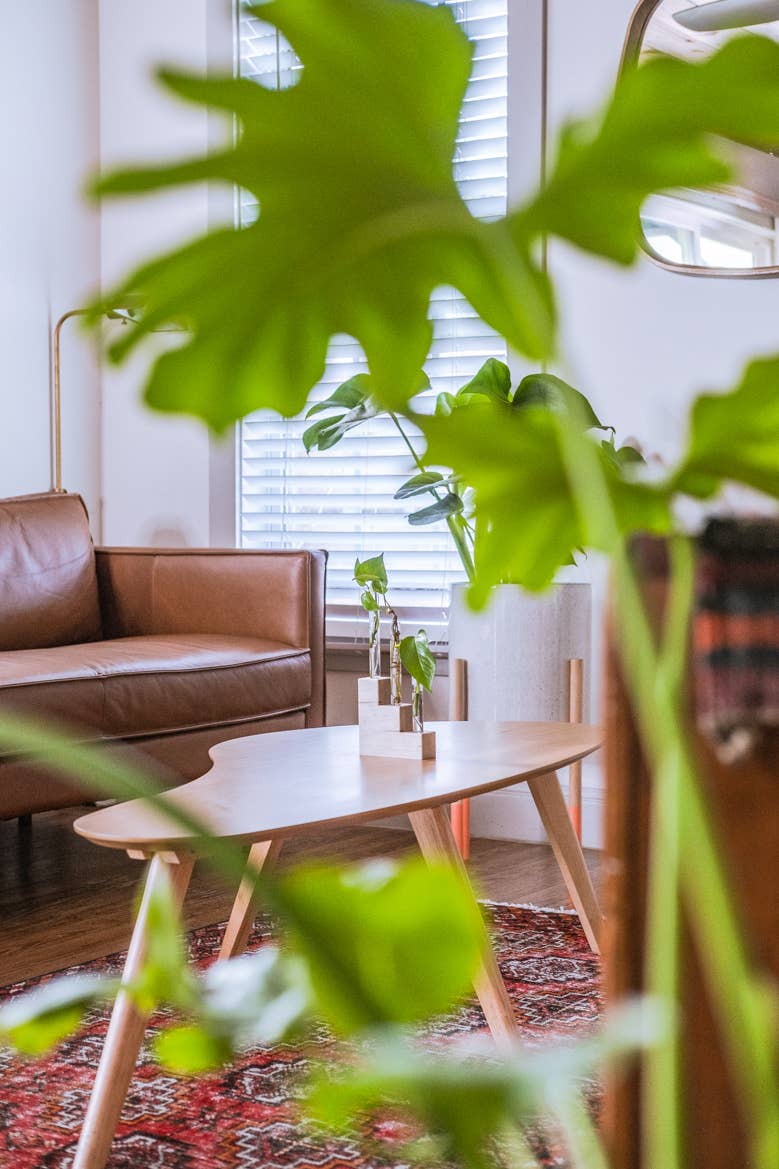 Hold on to Your Plants - Wholesale Plant Pot Stand - Riser Propagation Station3