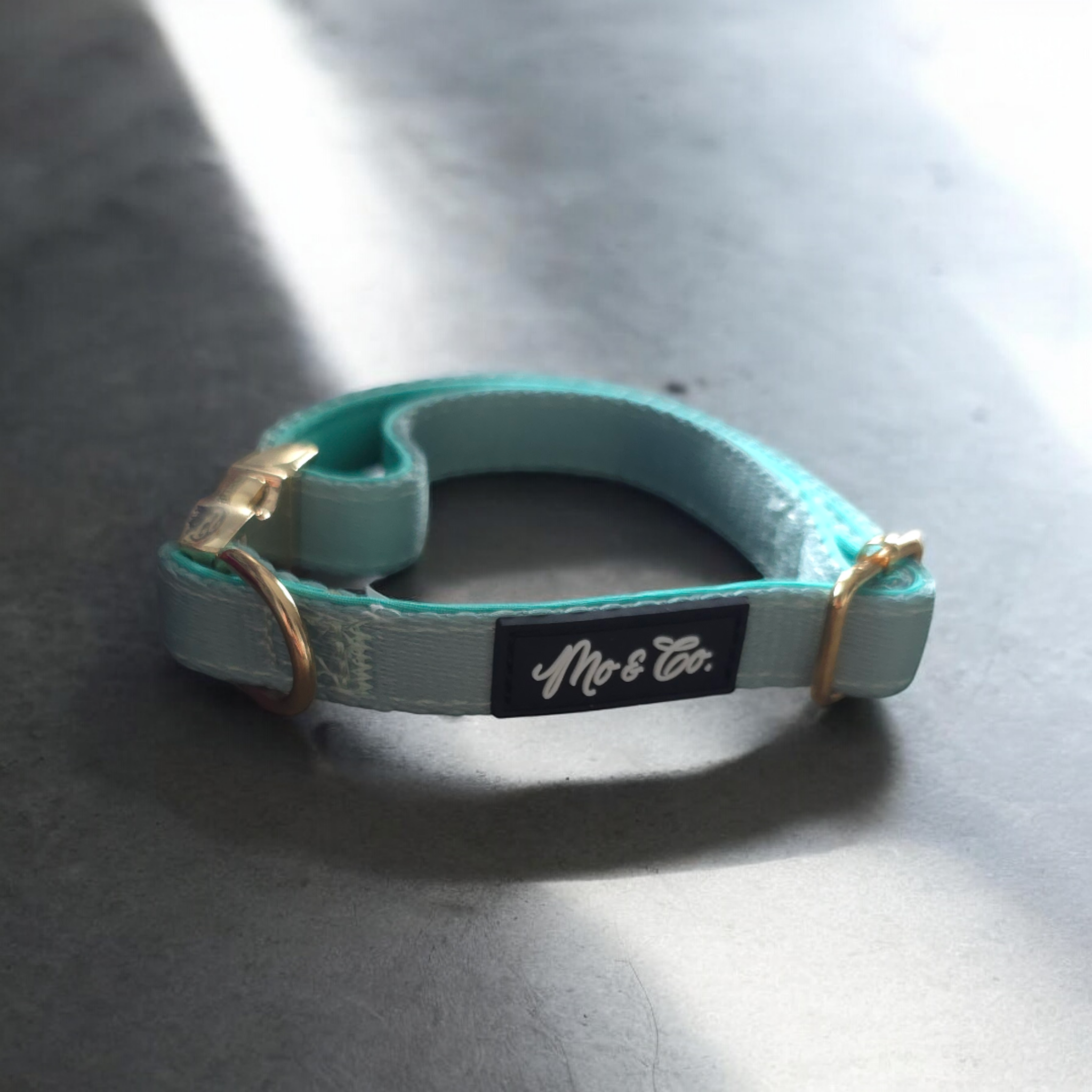 Mo & Co. - Vente Collier – chien - Col Mo & Co.1