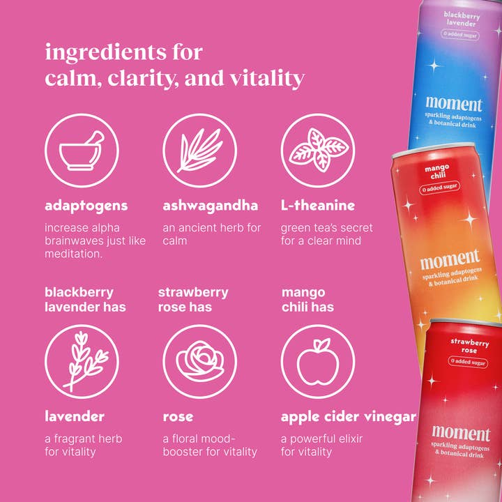 Moment - Wholesale Flavored/Infused Water (Non-Carbonated) - Moment Botanical Water Mixed Variety 18 pack