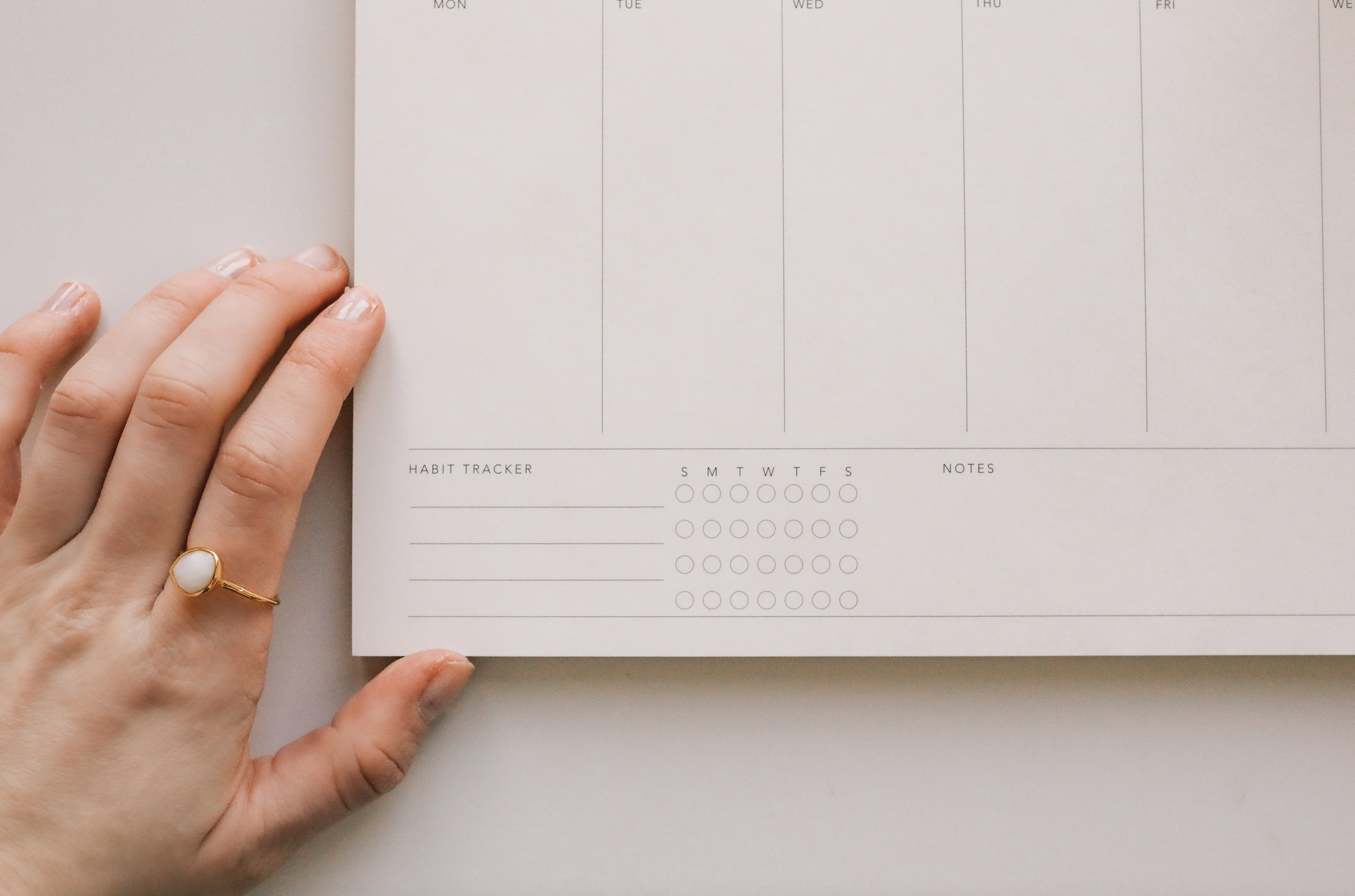 Strawberry Goose - Wholesale Notepad - Weekly Notepad2