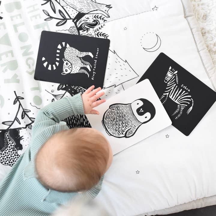 Wee Gallery – Großhandel Lernkarten – Kind & Baby – Kunstkarten für Babys - Schwarz-weiße Tiere
