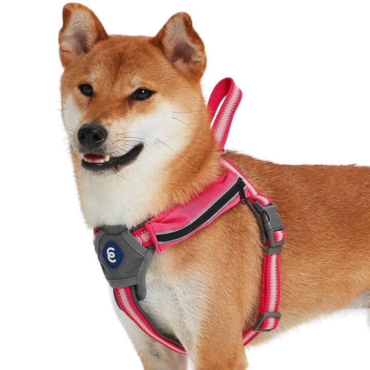 Blueberry Pet - Wholesale Pet Harness - Dog - Better Basics Reflective Dog Harness with Treat Pocket