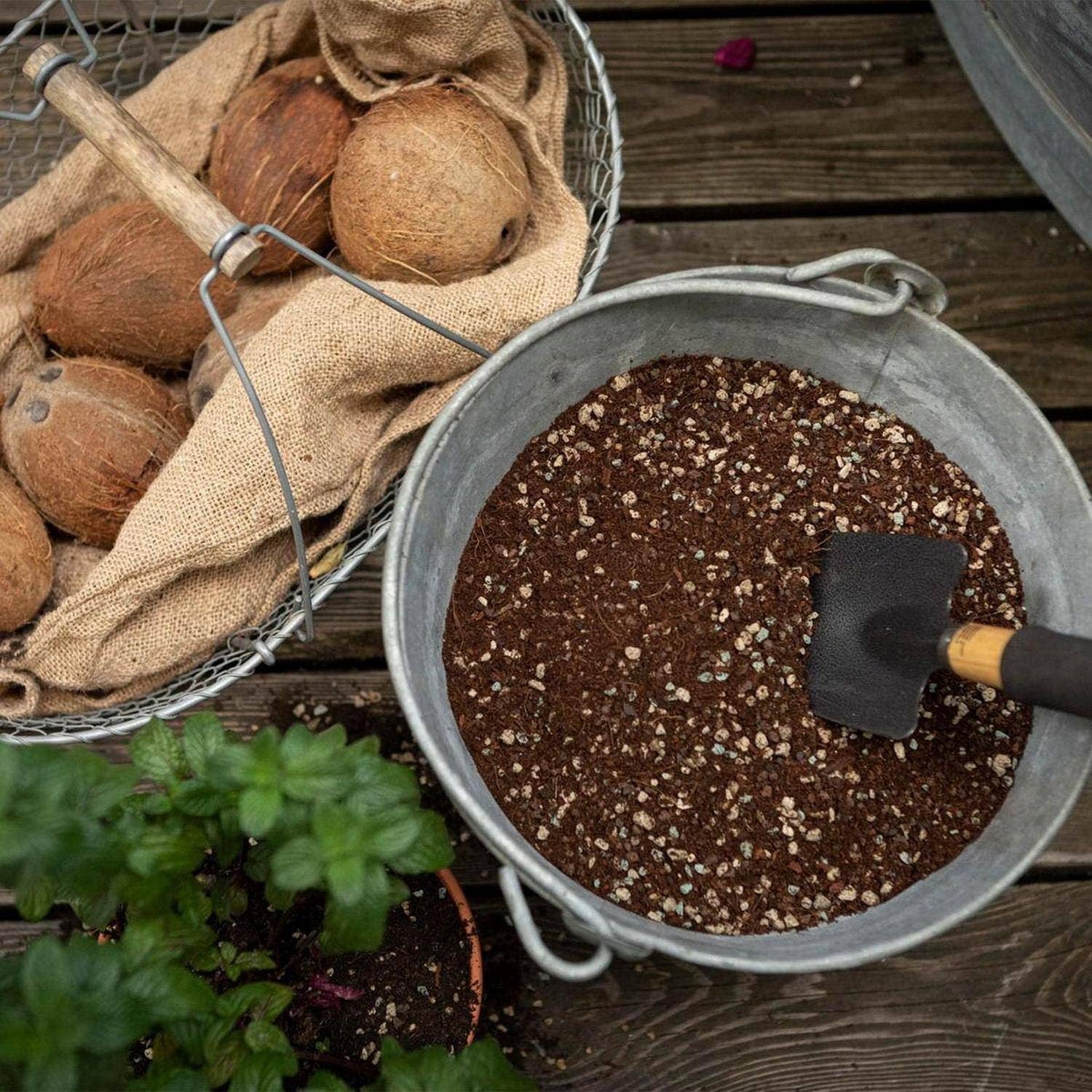 Lechuza Self Watering Planters - Wholesale Planting/Potting Soil - LECHUZA VEGGIEPON Soil for Vegetables 6 Liter2