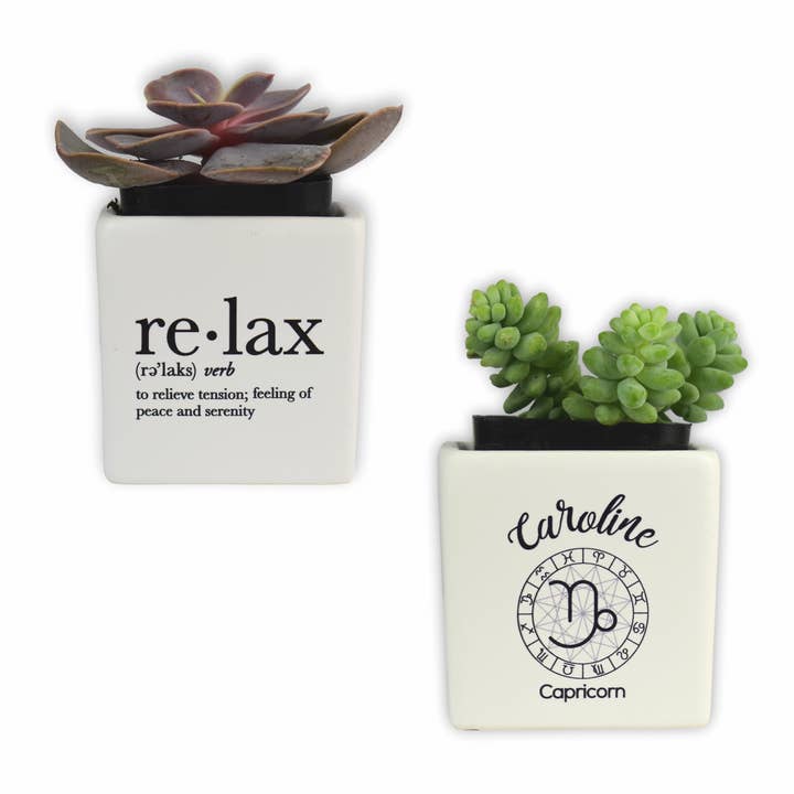 Okuso Custom Gifts - Wholesale Succulent - Personalized Succulent Jar with Plant3