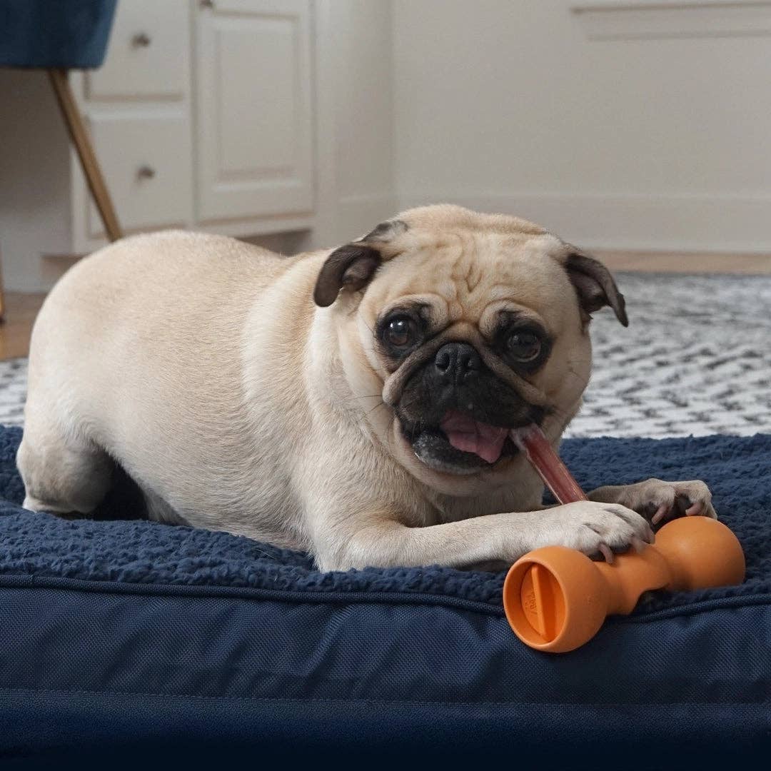 Bow Wow Labs - Wholesale Pet Chew Toy - Dog - Smart Bully Stick Bundle5