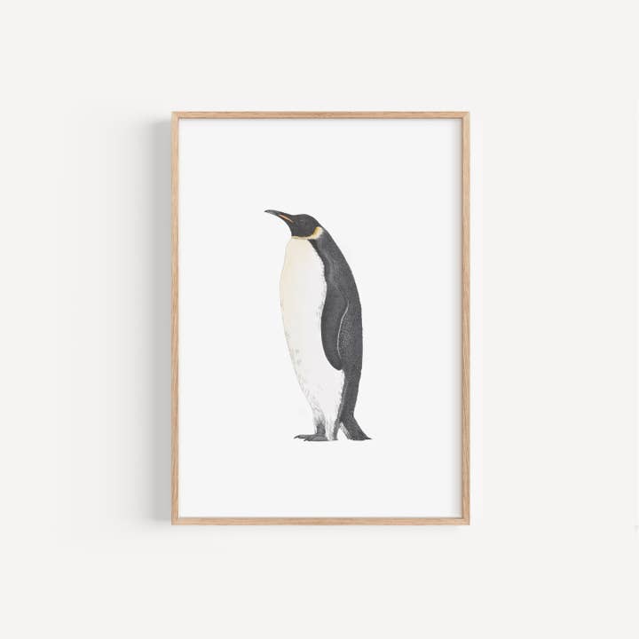 Emperor Penguin Print for wholesale by Lauren Fitton Illustration