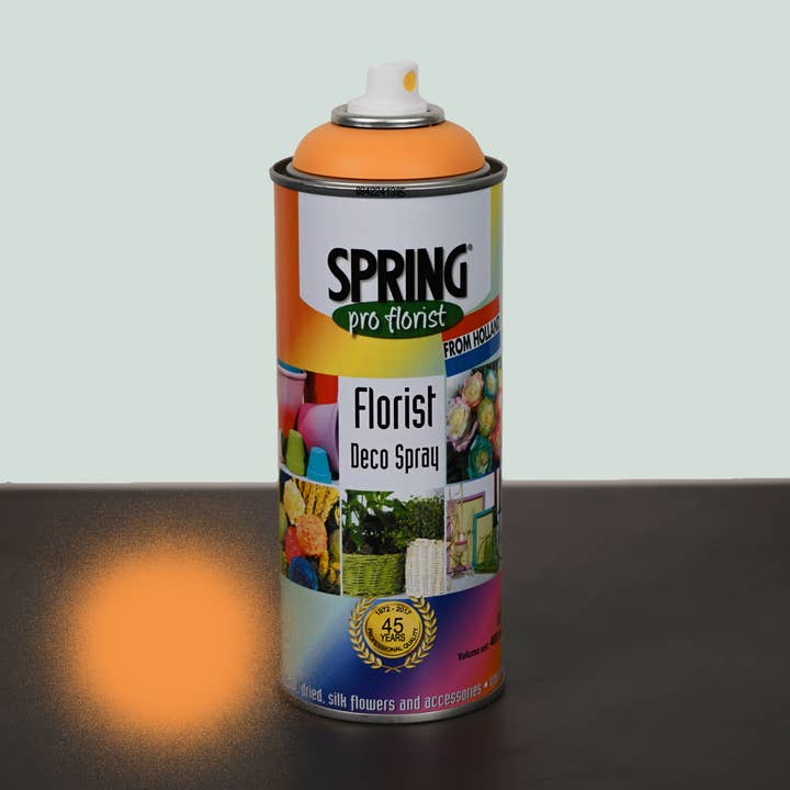 All Occasions Wholesale – wholesale Fresh cut flowers – Floral Spray Paint3