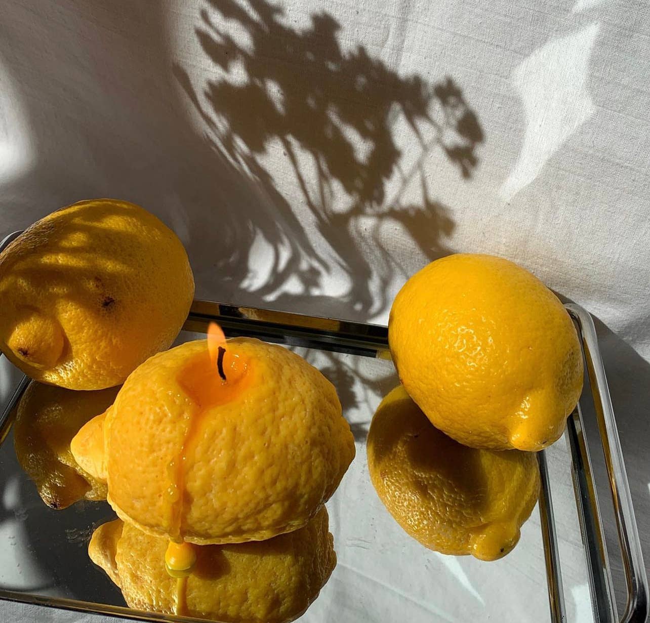 Dusty Rose Bodega - Wholesale Novelty Candle - C I T R U S squeeze1