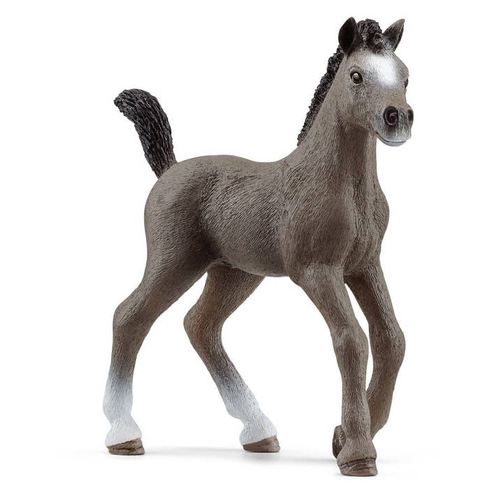 Schleich - Wholesale Figurine Toy - Kids - Cheval de Selle Fr. foal