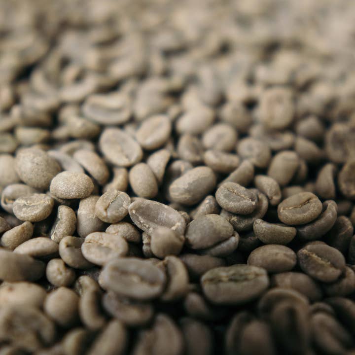 Big Year Coffee - Wholesale Coffee Beans - 2025 Bird Friendly Green Coffee2