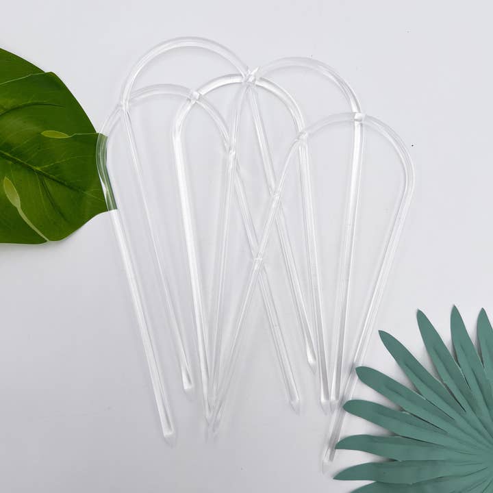 Propagation Diaries - Wholesale Trellis - 9” Acrylic Hoop Trellis (5 pcs)3