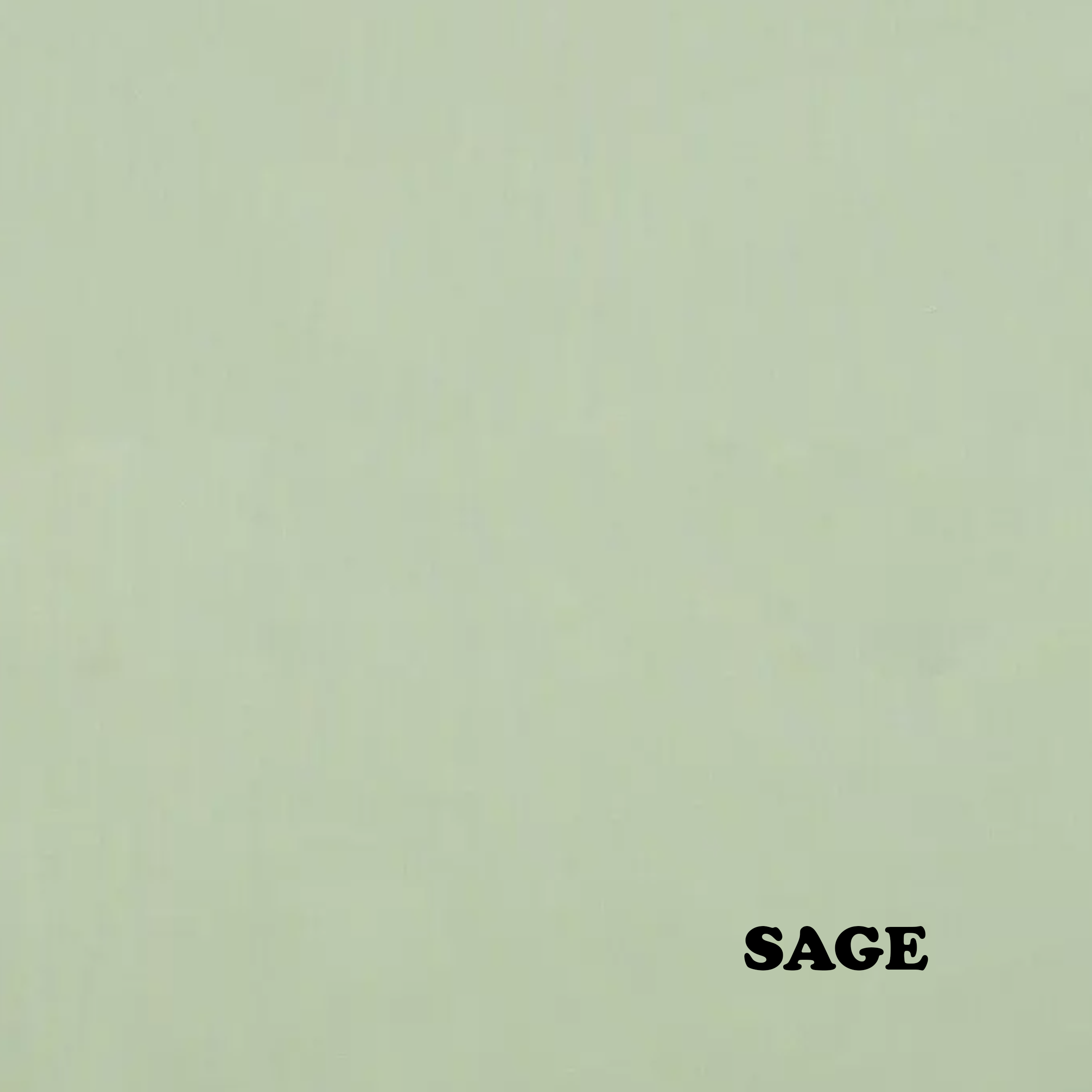 Spoiled Pet Accessories - Wholesale Pet Bandana - Dog - Treat Junkie6