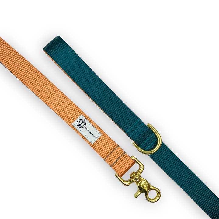 Teal + Coral Leash for wholesale by Golden Mutt Jack