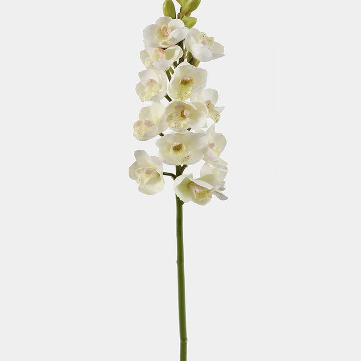 Prestige Botanicals – wholesale Artificial flowers – Cream Cymbidium Orchid 33"