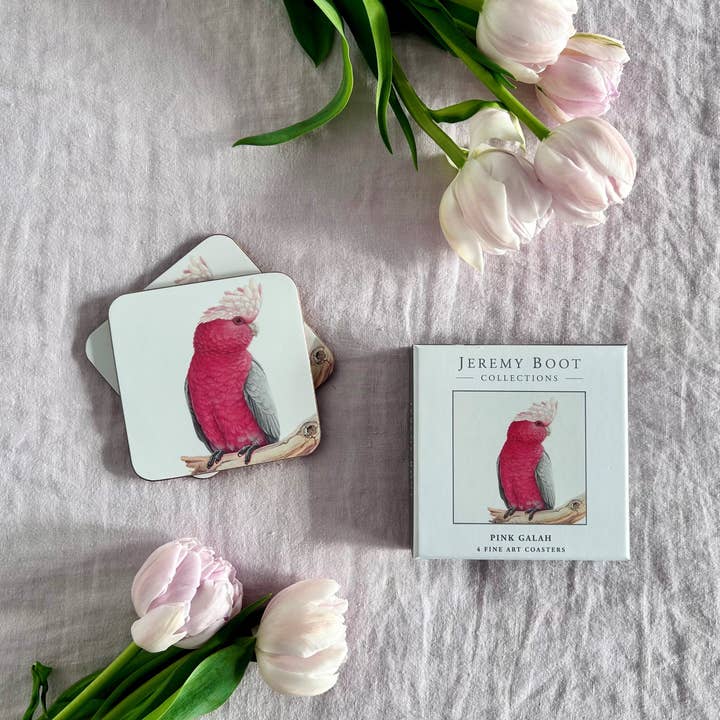 Jeremy Boot Collections - Wholesale Coasters - Galah Coasters (set of 4)1