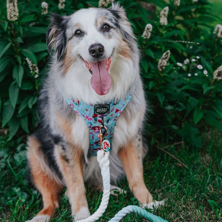 SASSY WOOF - Wholesale Pet Harness - Dog - Dog Adjustable Harness - Disney's Ariel6