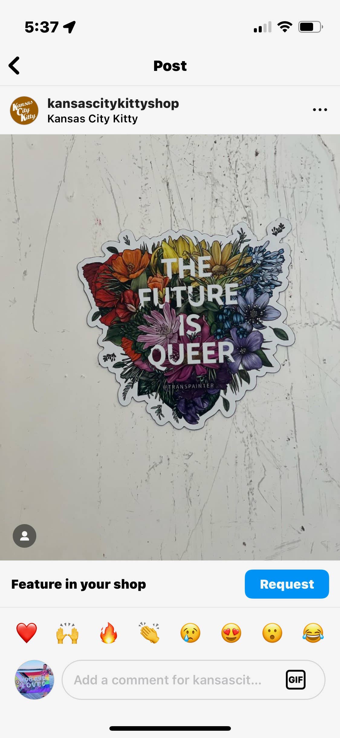 Transpainter - Wholesale Sticker - The Future is Queer Sticker Pack | Queer Stickers | LGBTQ+ 7