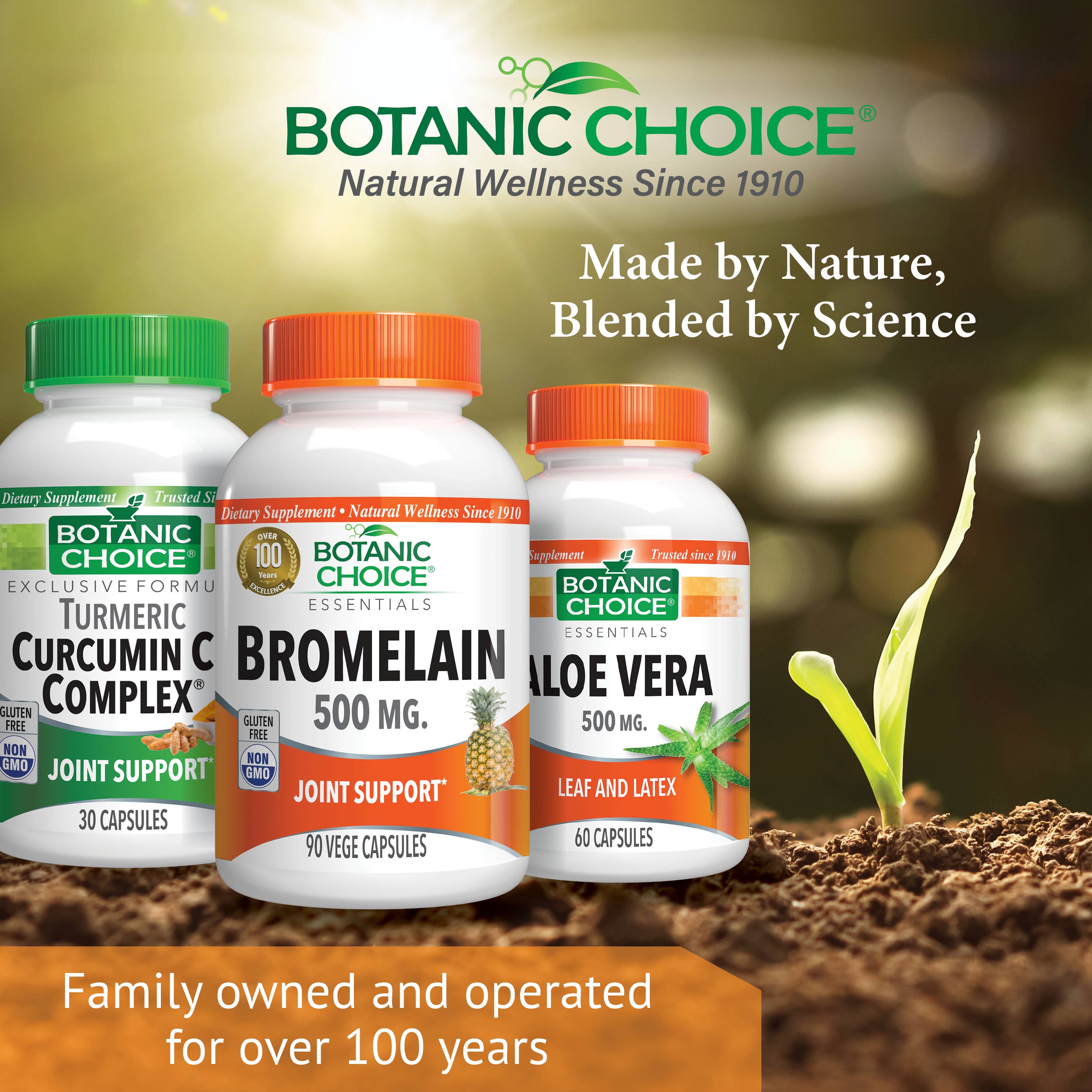 Botanic Choice - Venta al por mayor Suplementos/vitaminas para beber - Botanic Choice Bromelain 500 mg - 90 cápsulas5